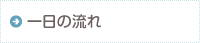 一日の流れ