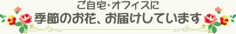 ご自宅・オフィスに季節のお花、お届けしています