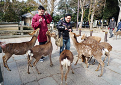 レクリエーション 写真